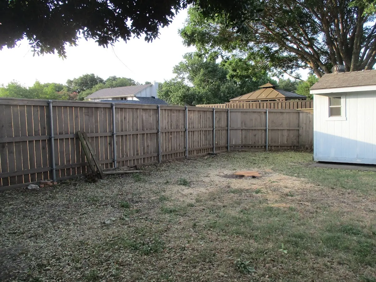 Cleared yard after professional tree removal in Millwood