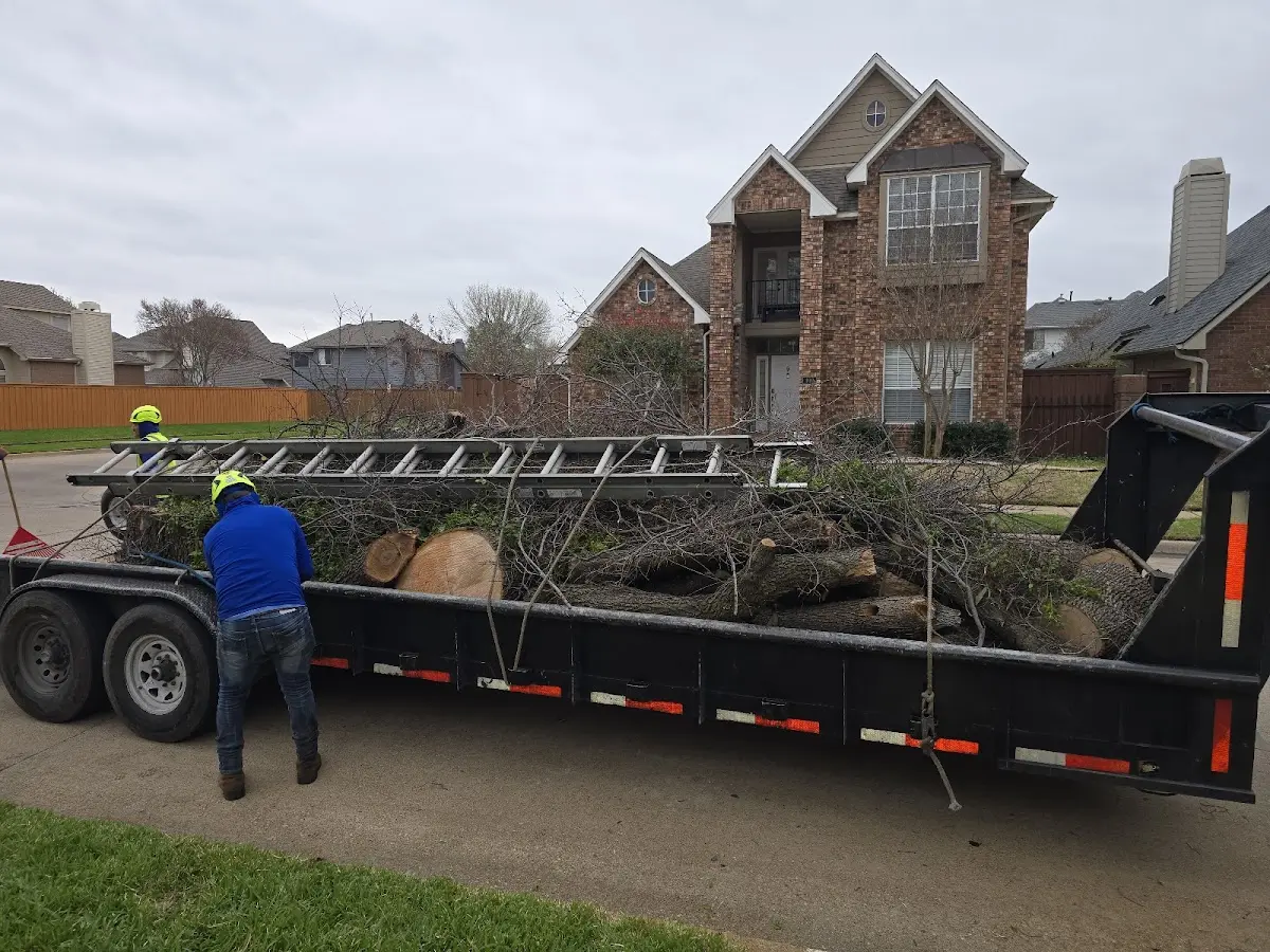 Expert Tree Fertilization with proper safety equipment in Millwood
